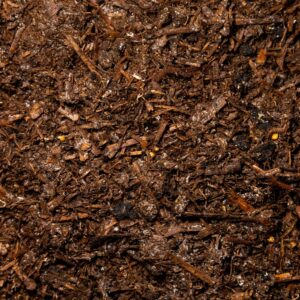 Mushroom Compost